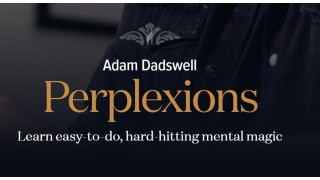Perplexions by Adam Dadswell