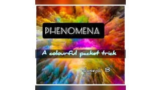 Phenomena by Joseph B