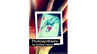 Photosynthesis by Andrew Mayne