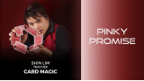 Pinky Promise (1-2) by Shin Lim