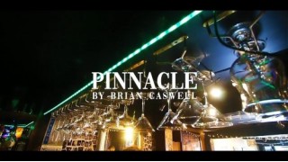 Pinnacle by Brian Caswell