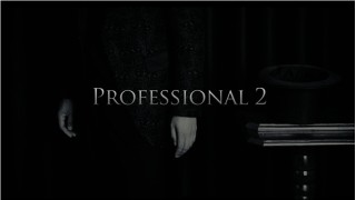 Professional 2 by Kim Hyun Soo