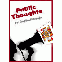 Public Thoughts by Raphael Czaja