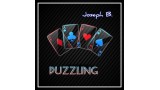 Puzzling by Joseph B 