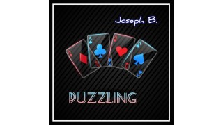 Puzzling by Joseph B 