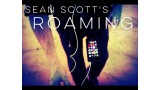 Roaming by Sean Scott