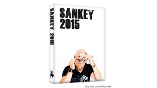 Sankey 2015 by 2015 Jay Sankey
