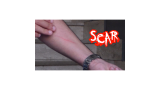 Scar by Dan Alex