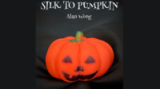 Silk To Pumpkin by Alan Wong