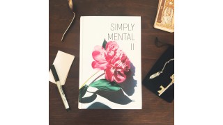 Simply Mental Ii by Pablo Amira