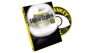Snowstorm by Jay Sankey