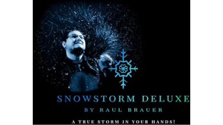 Snowstorm Deluxe by Raul Brauer