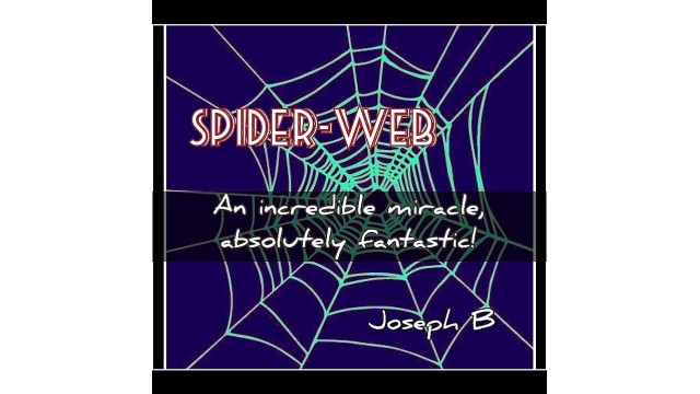 Spider-Web by Joseph B