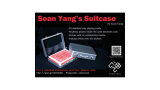 Suitcase by Sean Yang And Magic Soul