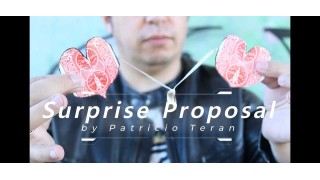 Surprise Proposal by Patricio Teran