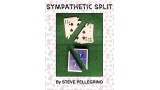 Sympathetic Split by Steve Pellegrino