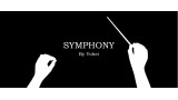 Symphony by Yohei Hawabata