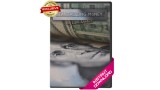 Tantalizing Money by Liam Montier