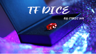 TF Dice by Chris Wu