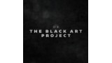 The Black Art Project by Will Tsai