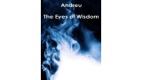 The Eyes Of Wisdom by Andreu