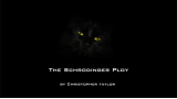 The Schrodinger Ploy by Christopher Taylor