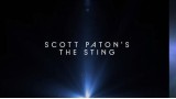The Sting by Scott Paton