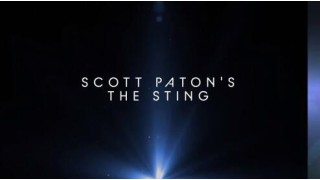 The Sting by Scott Paton