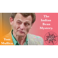 The Vault - Indian Bean Mystery by Tom Mullica