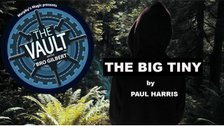 The Vault - The Big Tiny by Paul Harris