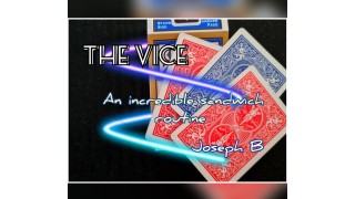 The Vice by Joseph B