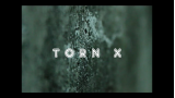 Torn X by Arnel Renegado