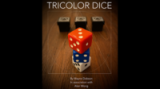 Tricolor Dice by Wayne Dobson And Alan Wong