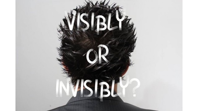 Visibly Or Invisibly by Emerson Rodrigues