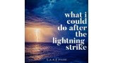 What I Could Do After The Lightning Strike by Steve Wachner