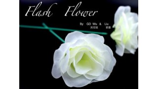 White Flash Flower by Gd Wu