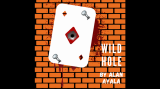 Wild Hole by Alan Ayala