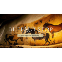 Buffalo Stop By Geni