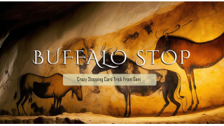 Buffalo Stop By Geni