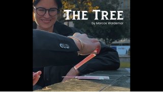 THE TREE By Marcos Waldemar & Invisible Compass