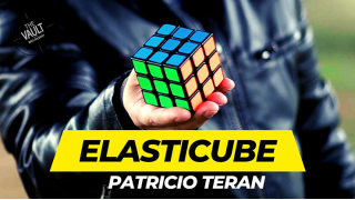 The Vault-Elasticube By Patricio Teran