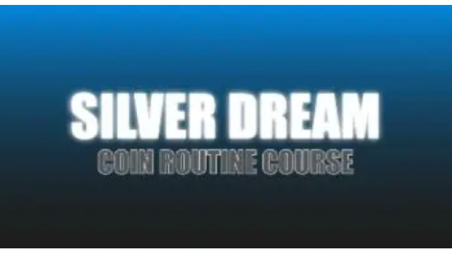 Justin Miller – Silver Dream (Netrix) - 2024