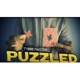 Puzzled by Tybbe Master