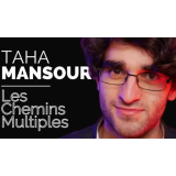 Les Chemins Multiples by Taha MANSOUR