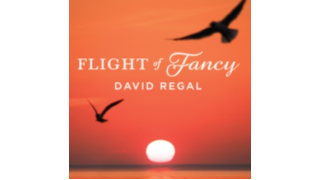 Flight of Fancy by David Regal